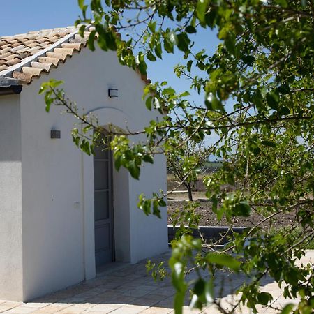 Masseria Celentano Relais & Agriturismo サン・セヴェーロ エクステリア 写真